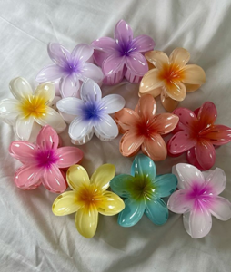 télécharger - 2025-03-13T034935.770